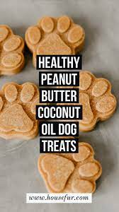 Healthy Homemade Peanut Butter Coconut Oil Dog Treats Recipe Easy Dog Treat Recipes Healthy Dog Treats Homemade Dog Treats Homemade Recipes