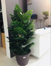 1 batang kayu mop 2 kayu hiasan dinding 2 papan pemoton jenis kayu. Diy Pokok Viral Untuk Dekorasi Hari Raya Dengan Total Hangus Hanya Rm24 Sahaja