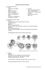 Check spelling or type a new query. Pdf Rangkuman Ipa Kelas 6 Semester 1 Nadya Rahmania Academia Edu