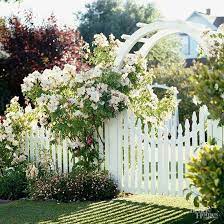 It may be used in web design, printed media, advertising, book covers and pages, music artwork, software applications and much more. White Roses For A Crisp Classic Garden Look Better Homes Gardens