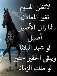 الاصيل اصيل is a member of vimeo, the home for high quality videos and the people who love them. Ø±ÙˆØ§Ø¦Ø¹ Ø§Ù„Ø­ÙƒÙ… Ø±ÙˆØ§Ø¦Ø¹ Ø§Ù„Ø­ÙƒÙ… Facebook