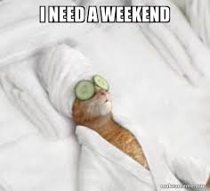 Are you looking for happy weekend memes? I Need A Weekend Pampered Cat Meme Make A Meme