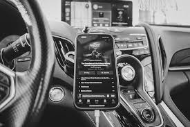 Tuxedo Panda (@thetuxedopanda) • Instagram photos and videos