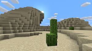 How to use a minecraft seed. Minecraft Desert Seeds
