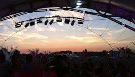 Electric Garden