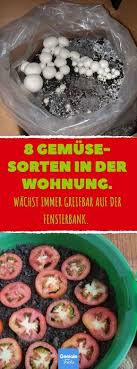 Ein optimaler topf zeichnet sich durch folgende merkmale aus: Pin Auf Garten