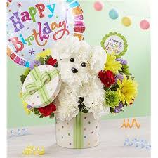 Use this 1800 flowers coupon code to get 25% off flowers and gifts when you order today at 1800flowers.com! 1 800 Flowers Party Pooch Seattle Wa
