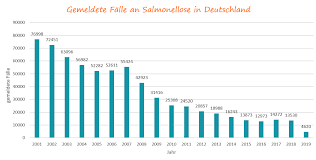 Salmonella are bacteria that make people sick. Salmonellenvergiftung Ihre Apotheke Informiert