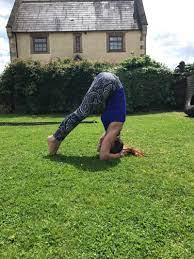 The centre also has a wild flower meadow, vegetable garden and orchard perfect for teaching courses promoting sustainability. The Yoga Barn Home