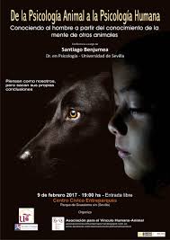 El reconocimiento facial, de música y lenguaje, y la seriedad son algunos de estos dominios. El Giraldillo De La Psicologia Animal A La Psicologia Humana Conociendo Al Hombre A Partir Del Conocimiento De La Mente De Otros Animales