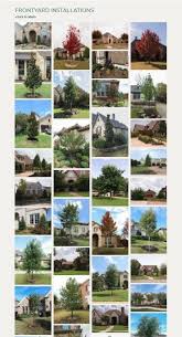Get ready dallas, you've never seen a nursery like this before! Frontyard Tree Installations Landscape Designs Pictures Dallas Tx Treeland Nursery Trees To Plant Tree Installation Easy Front Yard Landscaping