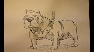 Let's learn how to draw a dog together with this easy to follow step by step in only six easy to follow steps you will learn how to draw a cute dog sitting down. How To Draw Pitbull Dog Step By Step Face Youtube