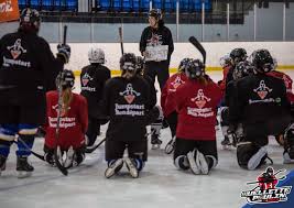 Hurricanes give offer sheet to canadiens' jesperi kotkaniemi. Caroline Ouellette Marie Philip Poulin And The Forgotten Generation S Hockey In Society Hockey Dans La Societe