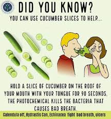 Bad Breath Halitosis Remedy Health Facts Coconut Health Benefits Health Articles