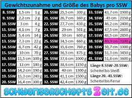 38 Ssw Infos Zu Wehen Senkwehen Geburt Ausfluss