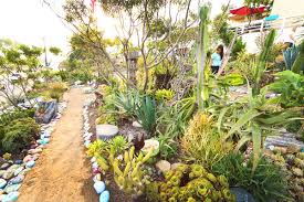 You can collect up to 250 pounds of rock a day in utah without a permit. Dave S Rock Garden Hidden San Diego