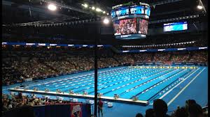 Check spelling or type a new query. How Big Is An Olympic Swimming Pool
