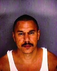 Ex-felon sentenced 13 years for weapons