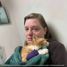 Pet owners sharing their experiences of losing their beloved pets to cancer