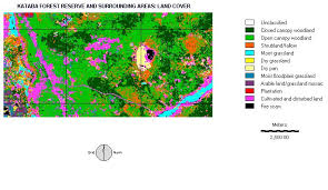 Image result for Paropsia brazzeana