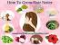 Home Remedies For Hair Fall And Regrowth