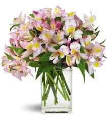 We're family owned and operated, and committed to offering only the finest floral arrangements and…. Lively Lilies Santa Clarita Ca Florist
