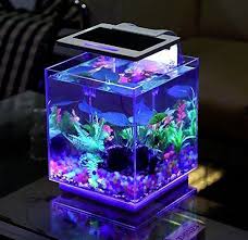 35 Modern Mini Aquarium Designs For Your Small Spaces Fish Tank Lights Aquarium Design Mini Aquarium