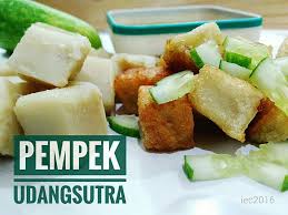 Like most recipes on this site all that is reduced is the fat. Silk Shrimp Pempek By Dapur Ibueasycooking Directenak Com