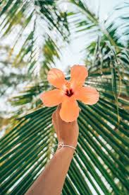 Find gifs with the latest and newest hashtags! Summer Aesthetic Bright Wallpaper Novocom Top