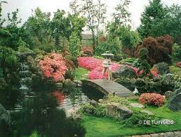 japanse tuin garden architecture plants garden bridge