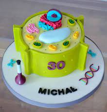 You can make a model cell with things from around your house, or you can buy a few simple items to create a fun, educational project. Plant Cell Cake Cake By Crumb Avenue Cakesdecor