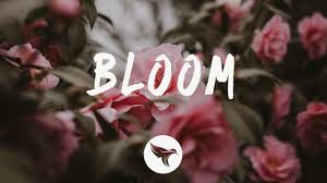 Dynoro Gigi D Agostino In My Mind Official Audio Lyrics Dabin Bloom Lyrics Ft Dia Frampton Bloom Cool Lyrics Happier Lyrics