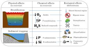 It also highlighted that residential, agricultural and industrial wastes are three main sources of river pollution in malaysia. Bg Reviews And Syntheses Dams Water Quality And Tropical Reservoir Stratification