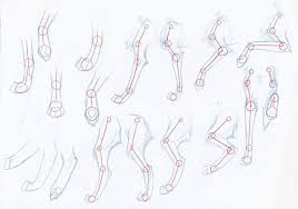 Drawing Animal Legs And Paws Wolf Drawing Paw Drawing Animal Drawings