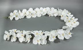 Sie benötigen grundkenntnisse von adobe photoshop und wissen leider konnten wir diesen artikel nicht auf deutsch übersetzen. Orchideengirlande 180cm Weiss Mit 46 Bluten Ga Kunstblumen Kunstliche Orchidee Orchideen Blumen Seidenblumen Ross Gmbh