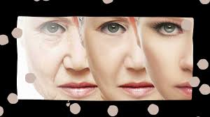 A Little of what we can do for you.