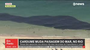 Banhistas que nadaram no mar da Praia do Leme, na Zona Sul do Rio,  mergulharam no meio de cardumes na manhã desta sexta-feira (26). As imagens  foram registradas pelo Globocop. De cima, parece uma ...