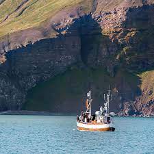 The sunny european country, including the azores and. Full List Of Countries On Uk S Green List And Requirements For Travel Kiwi Com Stories
