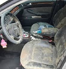 Mold On Car Seat Carseats Car Seats Cleaner Mold Remover Car Carpet Clean Car Seats