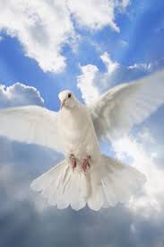 What restaurants are near iglesia del convento del espiritu santo? 84 Ideas De Espiritu Santo Espiritu Santo Espiritus Imagenes Del Espiritu Santo