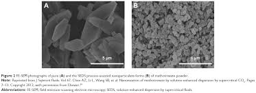 9a, jalan anggerik 1, taman kulai utama 81000 kulai johor: Solution Enhanced Dispersion By Supercritical Fluids An Ecofriendly N Ijn
