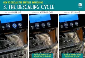 For every cup of vinegar, use 1 cup of water and put it into the water tank. How To Descale Your Breville Barista Pro Easy Guide