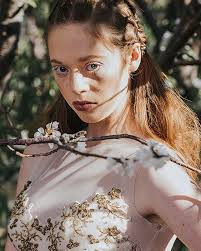 La morte dei fonti idrici della Florida: la vera storia nascosta