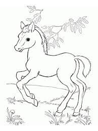 490x493 best horses images on horses, horse and clip art. Horse Coloring Pages Spirit Below Is A Collection Of Best Horse Coloring Page Which You Can Download Horse Coloring Pages Horse Coloring Animal Coloring Pages
