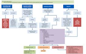 Image result for Liver Function Test