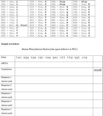 Dna mutation simulation 1) transcribe. Dna Mutation Simulation Answer Key Answers Mutations Worksheet Youtube Rullanbrettbrett