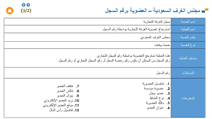 دليل خدمات قناة التكامل الحكومية Prezentaciya Onlajn