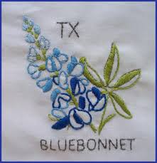 Created from my own photography, taken in the texas hill country, near boerne, texas. Turkey Feathers Texas Texas Bluebonnet