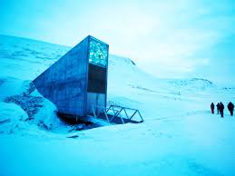 In one room there are seeds for more than 150,000 different varieties of wheat. Svalbard Global Seed Vault Floods As Permafrost Melts Wired