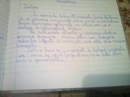 Cand ai dragoste in inima, poti vedea frumusetea in orice. Scrie O Compunere De 8 10 Ra Duri In Care Sa Prezinti O Posibila Continuare A Textului Dat Va Rog Brainly Ro